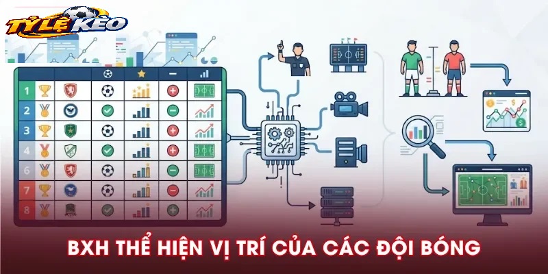 Tầm Quan Trọng Của Bảng Xếp Hạng Bóng Đá Tại Tylekeo