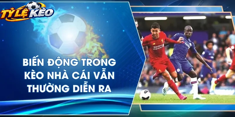 Tổng Quan Về Trang Chủ Tylekeo