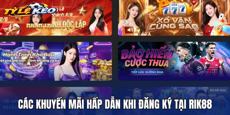 Bản Chất Và Cơ Chế Vận Hành Của Tỷ Lệ Kèo Rik88
