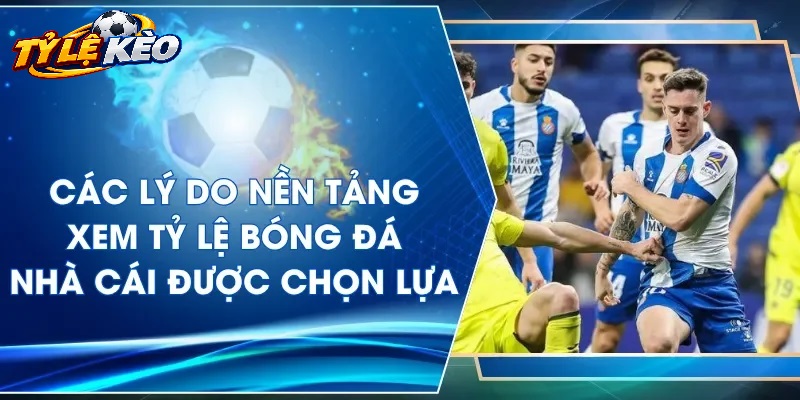 Các Tính Năng Nổi Bật Tại Trang Chủ Tylekeo