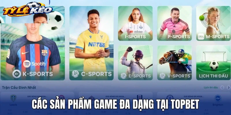 Bản Chất Và Cơ Chế Vận Hành Của Tỷ Lệ Kèo Topbet