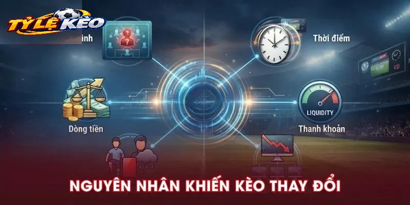 Bí Quyết Soi Kèo Chuẩn Xác Từ Chuyên Gia Tylekeo