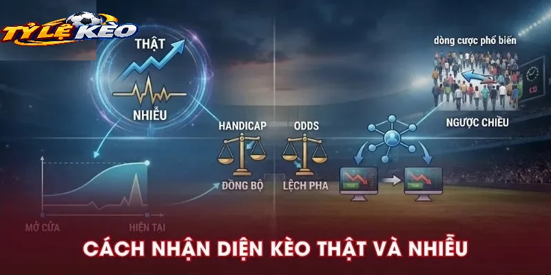 Chiến Thuật Quản Lý Vốn Cá Cược Thông Minh