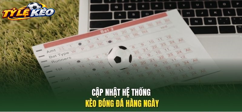 Bản Chất Và Cơ Chế Vận Hành Của Tỷ Lệ Kèo Vô Địch Nam Mỹ