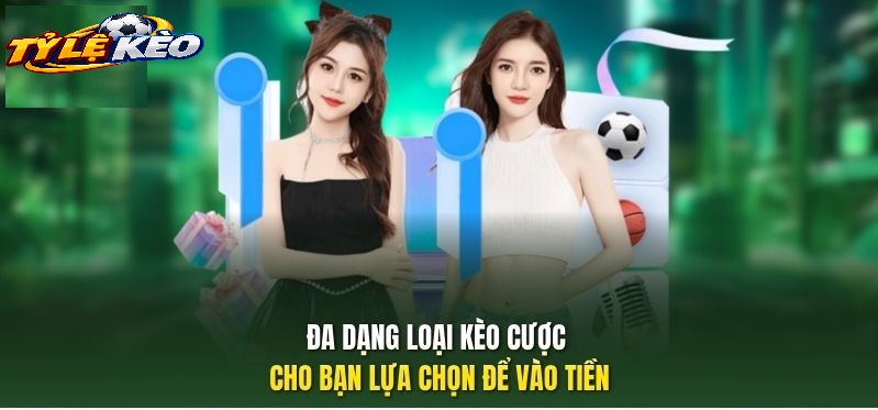 Các Loại Hình Kèo Vô Địch Nam Mỹ Phổ Biến Trên Bảng Cược