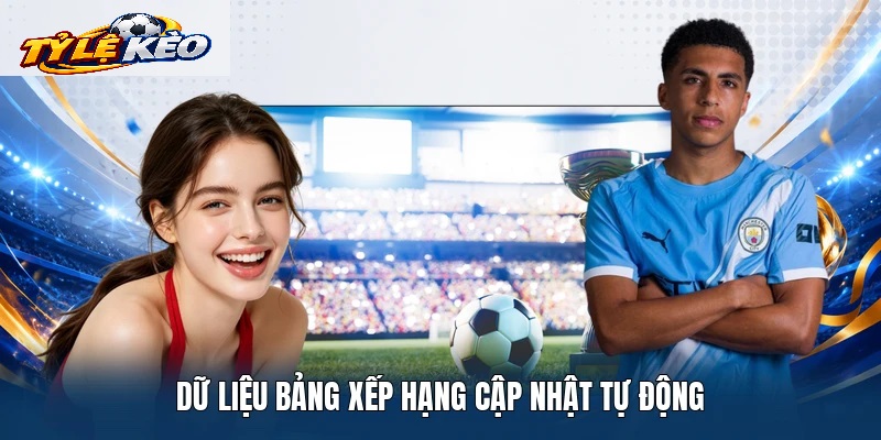 Bản Chất Và Cơ Chế Vận Hành Của Tỷ Lệ Kèo Vô Địch Bắc Mỹ