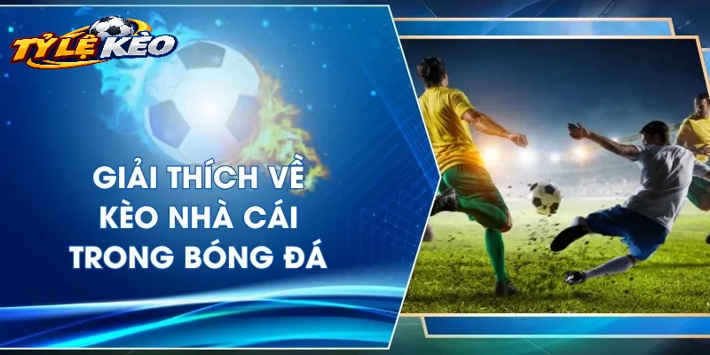 Phân Tích Chi Tiết Các Loại Kèo Phổ Biến Trên Tỷ lệ kèo