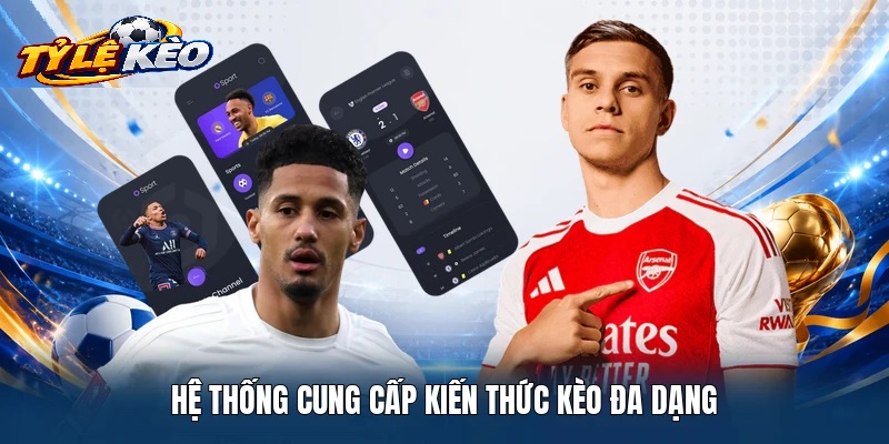 Các Loại Hình Kèo Vô Địch Bắc Mỹ Phổ Biến Trên Bảng Cược