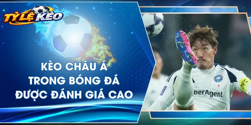 Quy Trình 5 Bước Khai Thác Trang Chủ Tylekeo Hiệu Quả Cho Cược Thủ