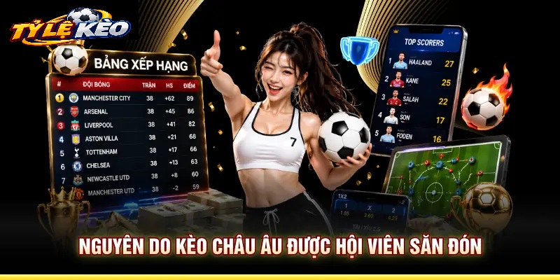Các Loại Hình Kèo Vô Địch Châu Âu Phổ Biến Trên Bảng Cược