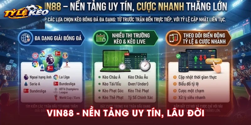 Hướng Dẫn Đọc Và Soi Tylekeo Cho Người Mới Bắt Đầu