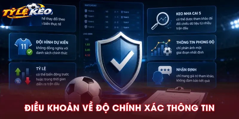 Bản Chất Dịch Vụ Của Tylekeo (Tuyên Bố Miễn Trừ Trách Nhiệm)