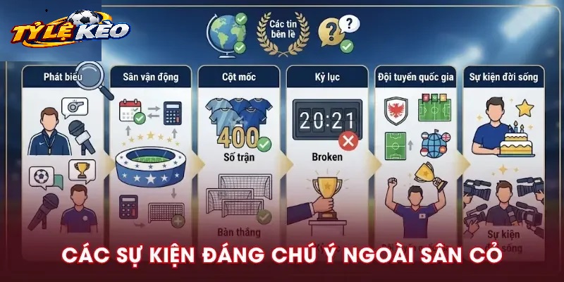 Các Danh Mục Dịch Vụ Nổi Bật Tại Tylekeo