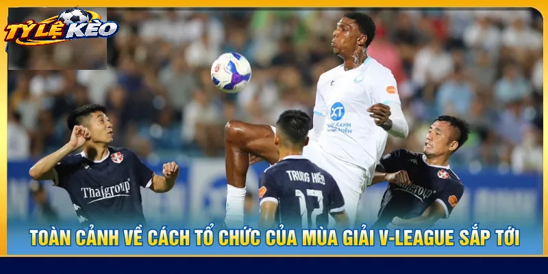 Chiến Thuật Phân Tích Tylekeo V-League Chuẩn Xác