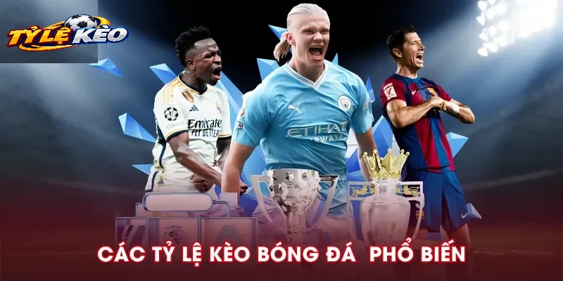 Mục Đích Và Phạm Vi Áp Dụng Của Chính Sách Hoàn Trả